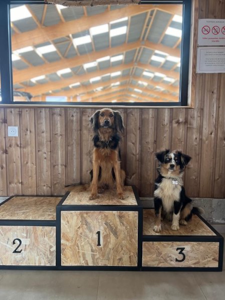 Ecuries du Barrois - photo 3