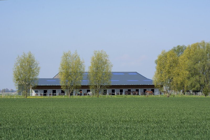 Ecurie des Weppes - photo 1