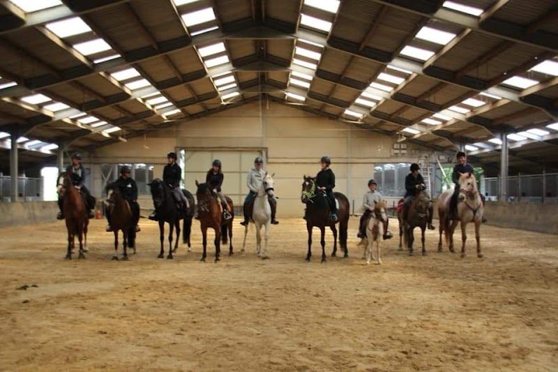 Ecurie du gailly m.d.