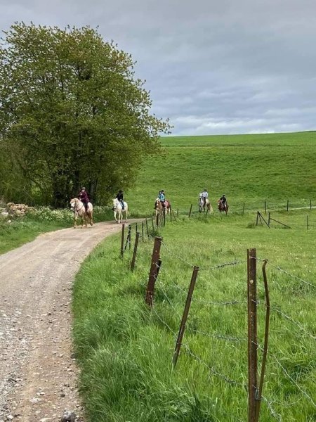 Ecurie du gailly m.d. - photo 2