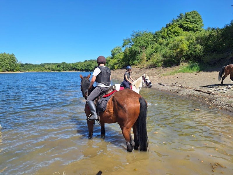 Ecurie du gailly m.d. - photo 3