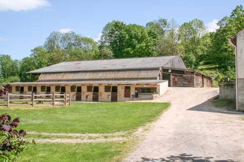 Centre Équestre Écurie du Rubis Pension cheval et Poney club