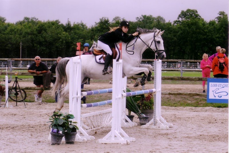 Centre Équestre Écurie du Rubis Pension cheval et Poney club - photo 3
