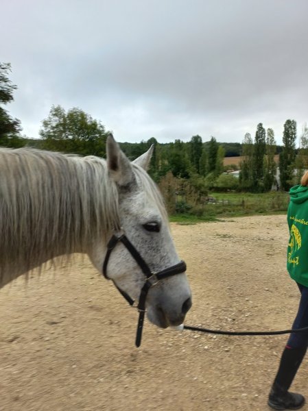 Ferme Equestre LE RUPT - photo 2