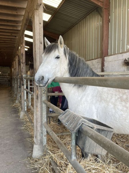 Ferme Equestre LE RUPT - photo 3