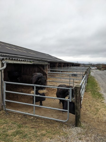 Écuries du Pré Mathy - photo 1
