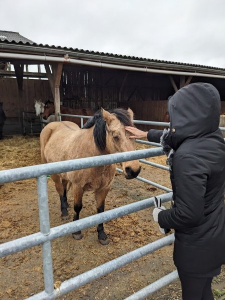 Écuries du Pré Mathy - photo 3