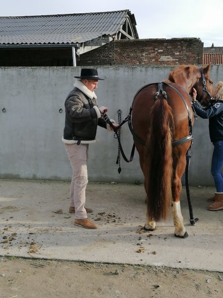 Les Ecuries du Warchet - photo 3