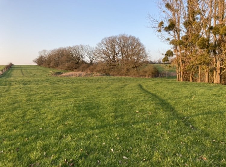 Ecurie de Blettange - photo 3