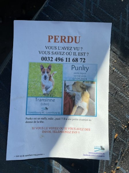 L'écurie des Longs Prés - photo 1