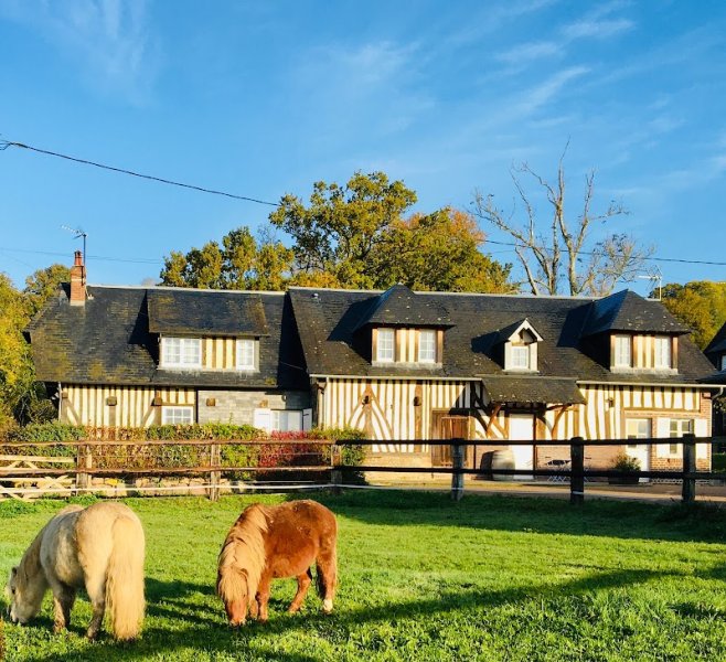 Les Écuries de Douville - photo 1