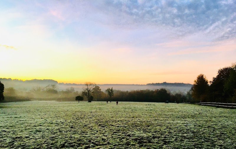 Les Écuries de Douville - photo 2