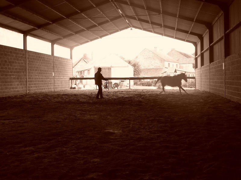 Ecurie de Lège - photo 3