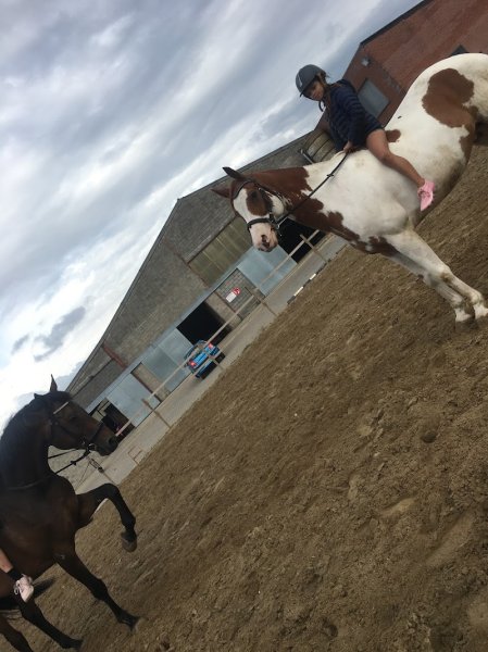 L'Ecurie des Verts Fosses, Equitation - photo 1