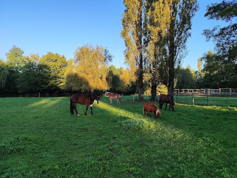Ecurie sans souci - photo 1