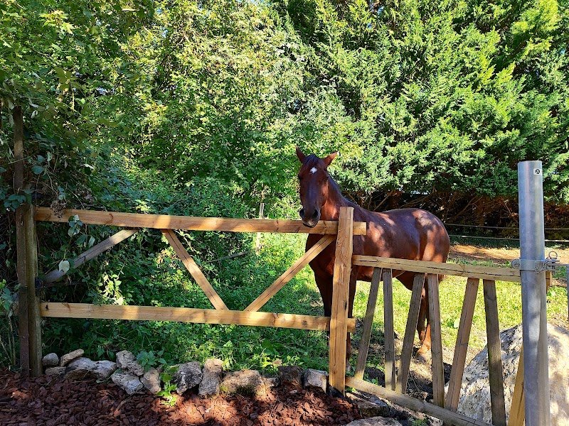 Ecurie sans souci - photo 3