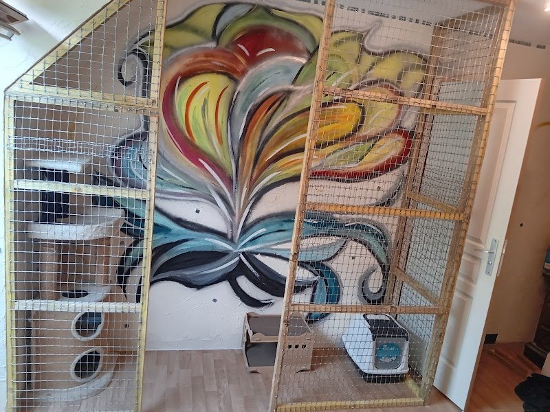 Suztakowski Émilie pension féline - photo 2