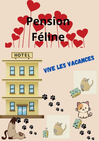 Suztakowski Émilie pension féline - photo 3