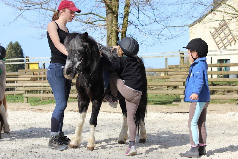 Les Ecuries de Wisbeley - photo 2