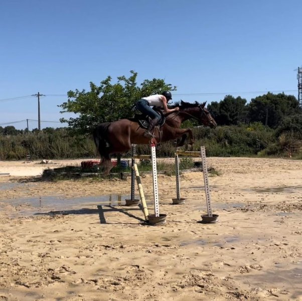 les écuries du mas - photo 1