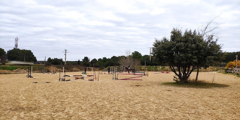 les écuries du mas - photo 2