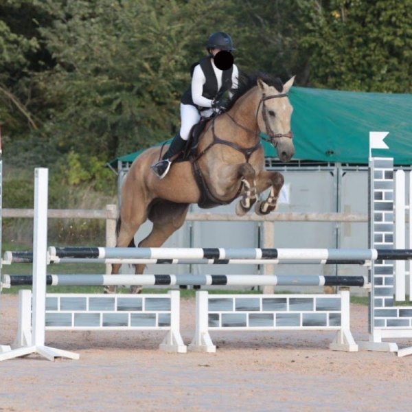 les écuries du mas - photo 3