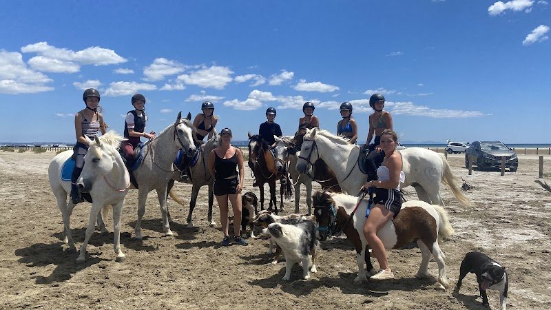 LES ECURIES DU BOSQUET - photo 1