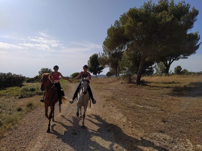 LES ECURIES DU BOSQUET - photo 2