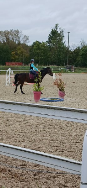 Les écuries de Payns - photo 2