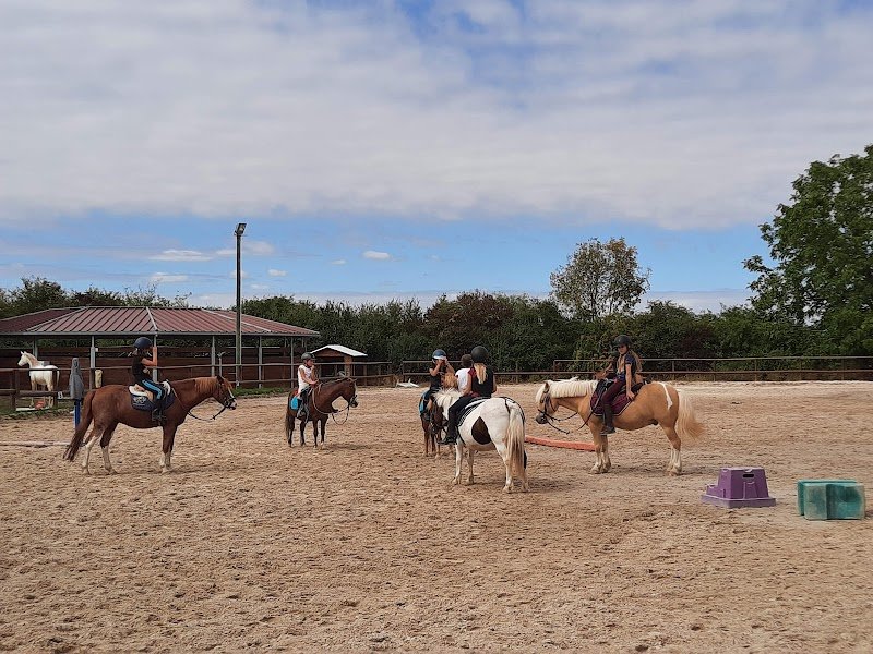 Centre équestre de Menois - photo 2