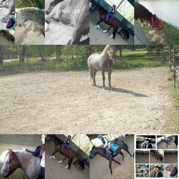 Centre Equestre de La Rivière-de-Corps - photo 2