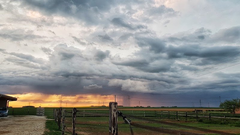 Haras Des Chaises - photo 3