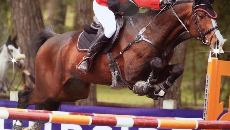 ÉCURIES DE LA VILLE AU BOIS