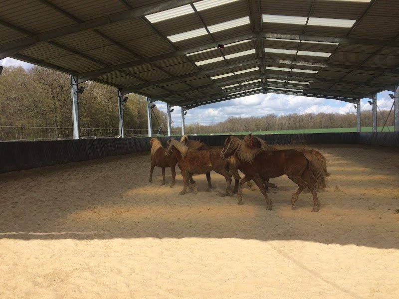 ÉCURIES DE LA VILLE AU BOIS - photo 2