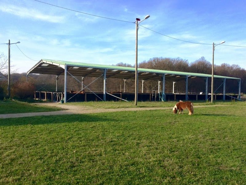 ÉCURIES DE LA VILLE AU BOIS - photo 3