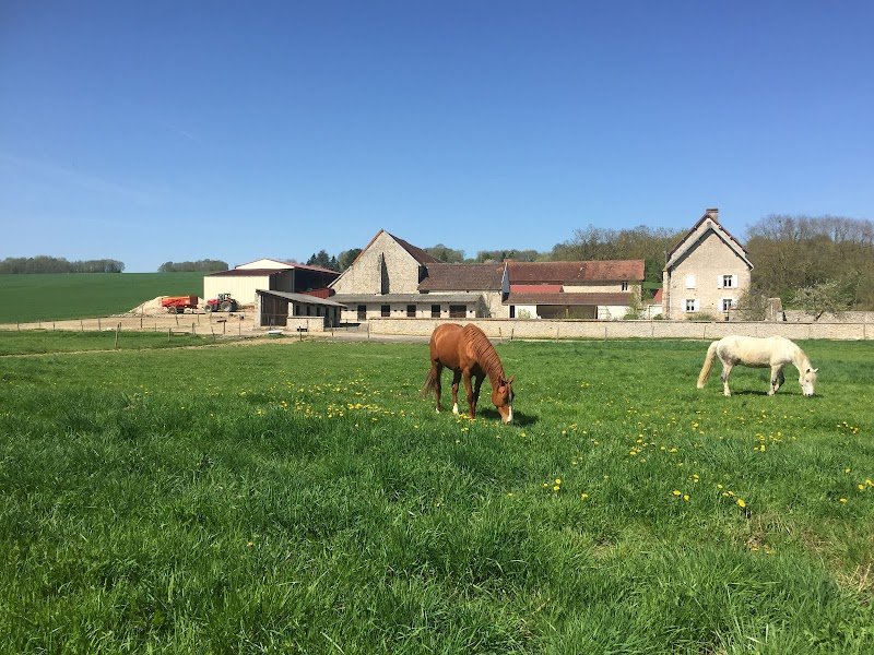 Les écuries de Véronge - photo 3