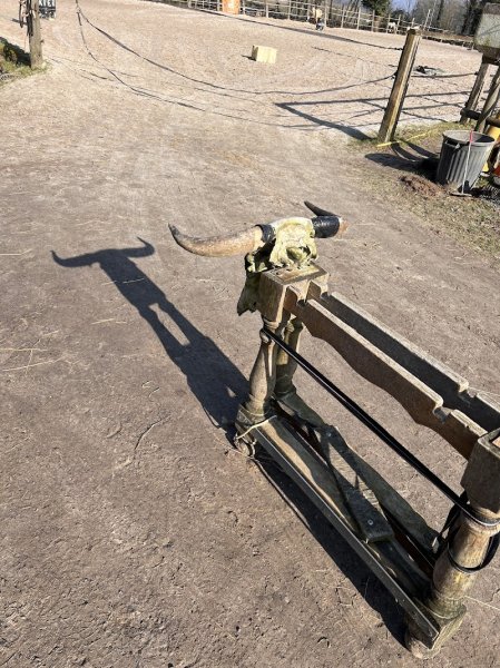 Ranch Kanza QuarterHorse - photo 3