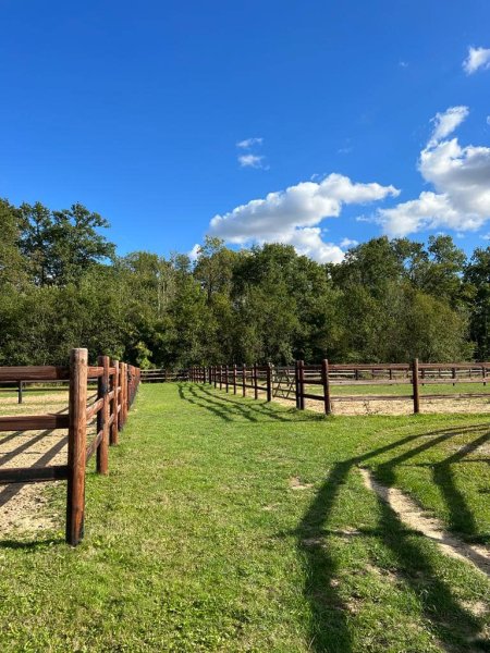 Haras des Sablons - Ecurie Robin Boulanger - photo 2