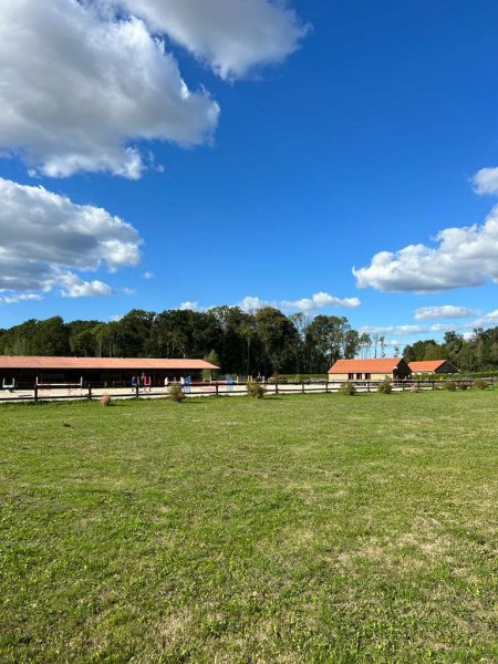 Haras des Sablons - Ecurie Robin Boulanger - photo 3