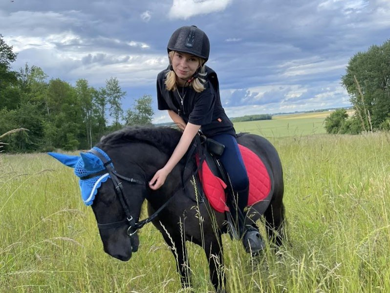 Haras du chene d'argent - photo 2