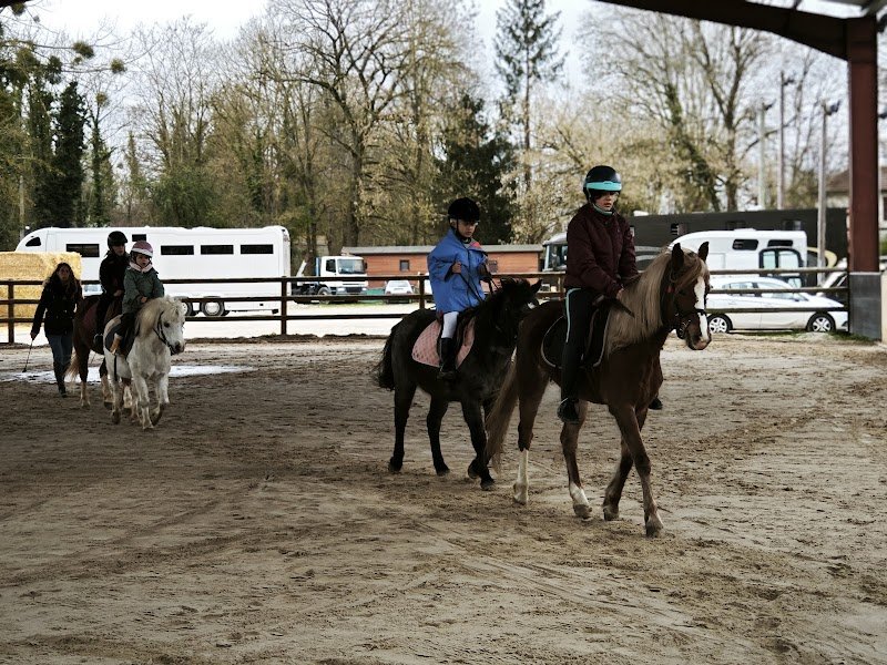 Les Ecuries du Vieux Moulin - photo 2