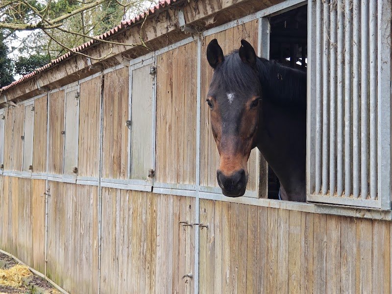 Les Ecuries du Vieux Moulin - photo 3