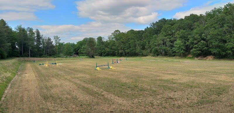 Les Ecuries De La Licorne - photo 3