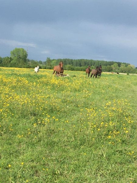 Ecurie Dlp - photo 2
