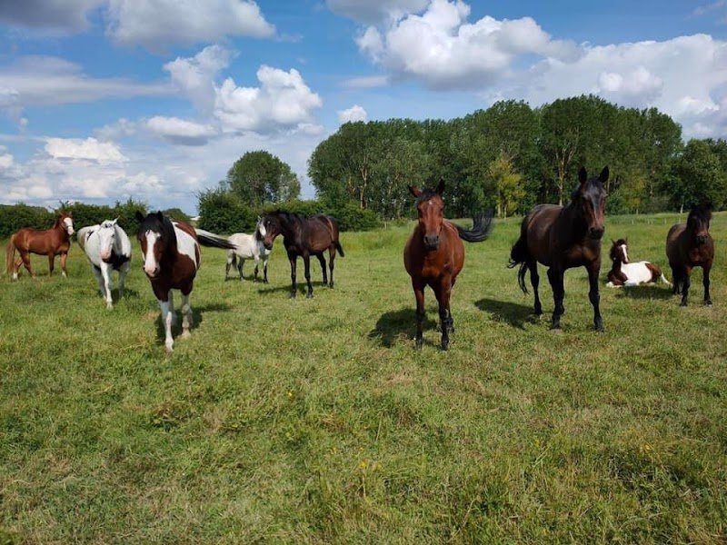 Ecurie Dlp - photo 3