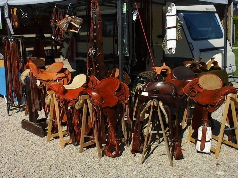 Sellerie P.B Farm - photo 1