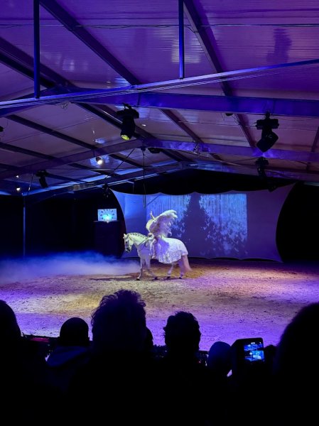 Théâtre Équestre de Champagne - photo 2