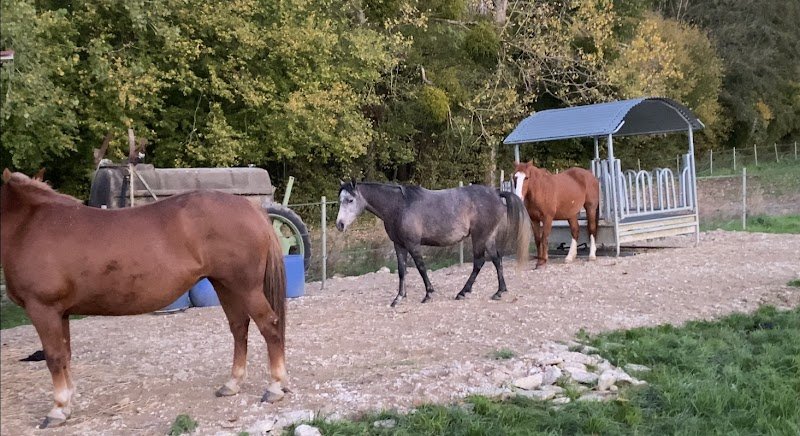 Ecuries des Marais EARL - photo 2