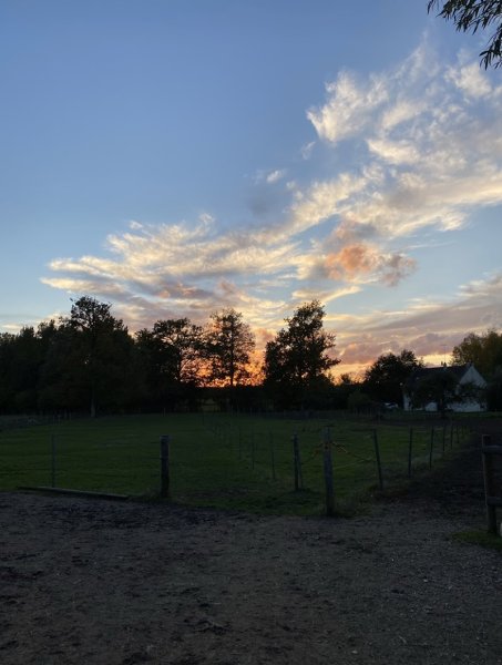 Ecuries des Marais EARL - photo 3