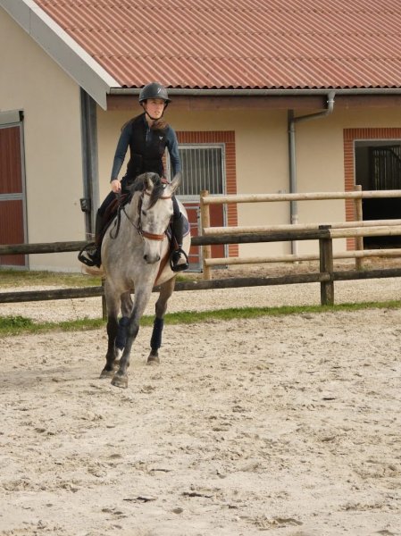 Écuries de Montier en Der - photo 2